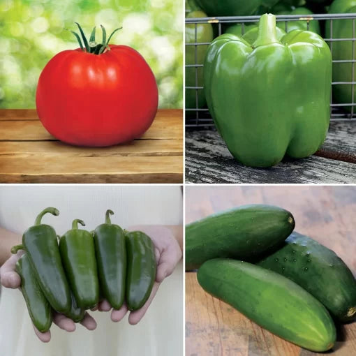 Tomato Whopper Seed Collection High Germination Garden Seeds heirloom non-gmo seeds