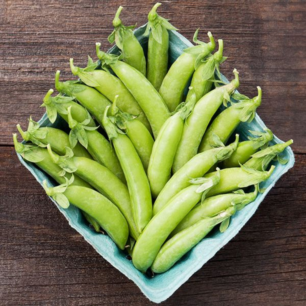Butterpea Vegetable Seeds for Planting