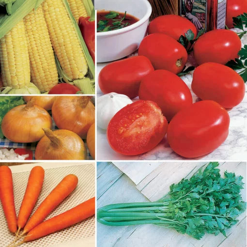 Vegetable Soup Garden Seed Collection High Germination Garden Seeds heirloom non-gmo seeds