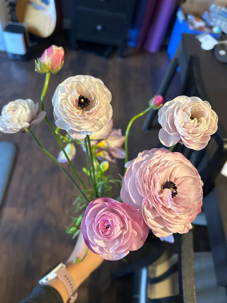 Ranunculus Seeds - Secret Garden Mix