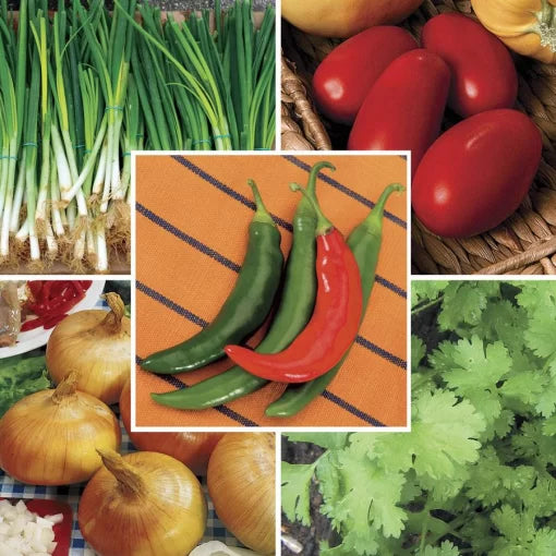 Salsa Vegetable Garden Seed Collection High Germination Garden Seeds heirloom non-gmo seeds