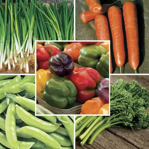 Stir Fry Vegetable Seed Collection High Germination Garden Seeds heirloom non-gmo seeds