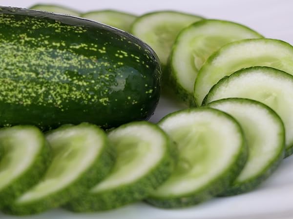 Cucumber Seeds (Semi Spacemaster Variety, Non-GMO, Seeds)