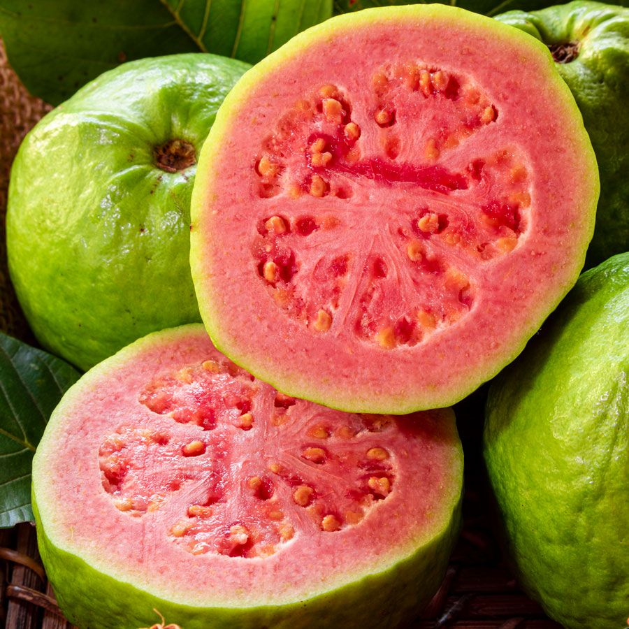 Brazilian Guava Seeds (Psidium guajava)