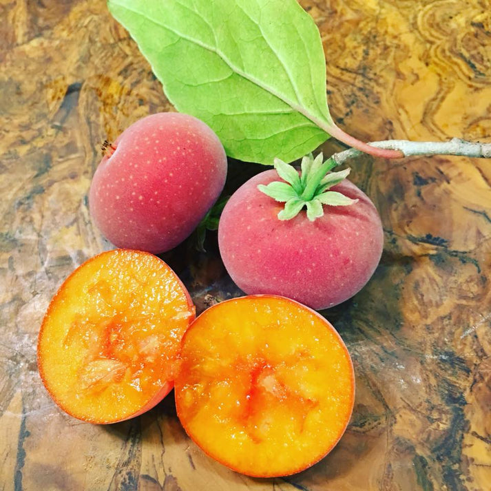 Tropical Apricot – Exotic, Sweet and Tangy Fruit