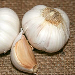 California Late Garlic Bulbs Classic Late-Maturing Garlic High Germination Garden Seeds heirloom non-gmo seeds