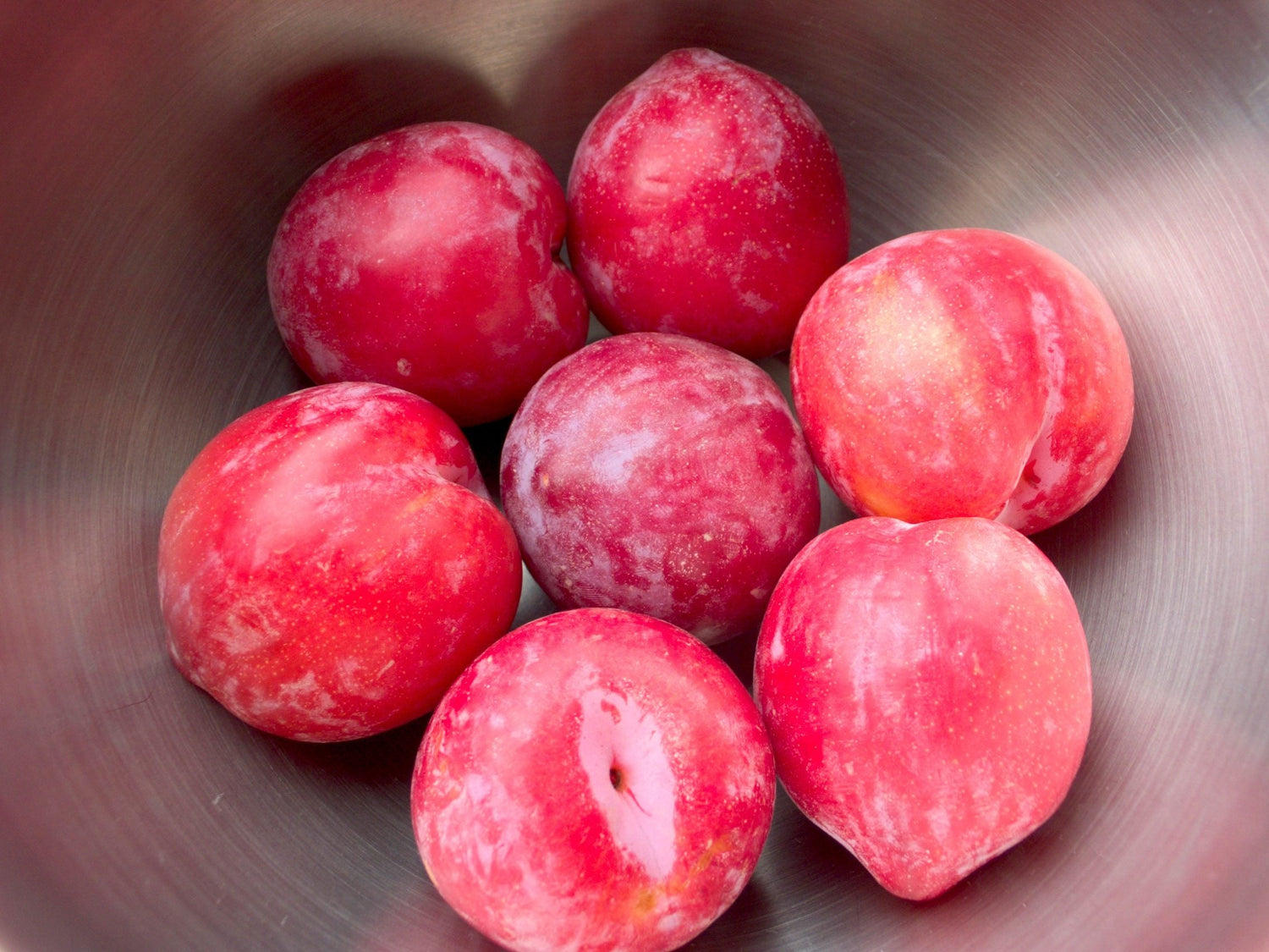 Plumcot (Prunus domestica × Prunus armeniaca) – Delicious Plum Apricot Hybrid Fruit