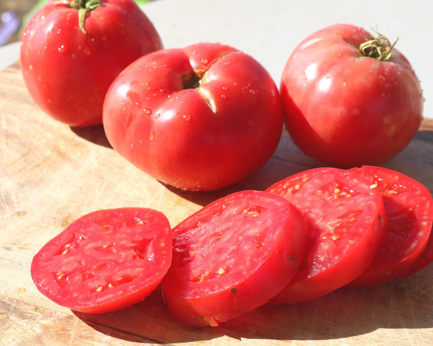 Junior Whopper Pink Hybrid Tomato Seeds | Compact Early Pink Slicing Tomatoes – Heirloom, Non-GMO, High Germination Organic Garden Seeds