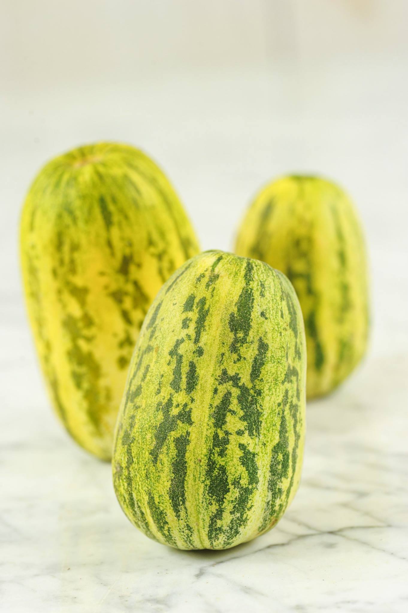 Asian Apple Melon Seeds for Planting - Exotic Sweet and Tangy Fruit, Non-GMO Seeds