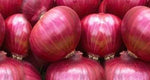 vibrant red onions arranged for cooking and salads

