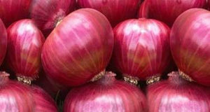 vibrant red onions arranged for cooking and salads


