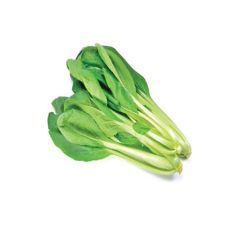 Green Komatsuna - Heirloom, Non - Gmo Seeds