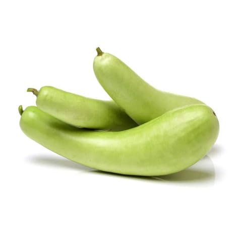 Green Bottle Gourd - Heirloom, Non - Gmo Seeds