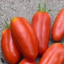 San Marzano Tomato Seeds for Planting