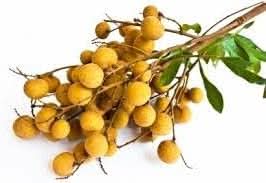 Longan Dimocarpus longan seeds for planting in home garden