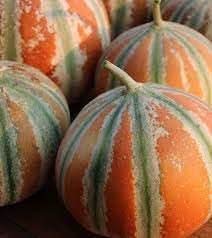 Kajari Melon Fruit Seeds for Growing a Sweet and Unique Melon Variety