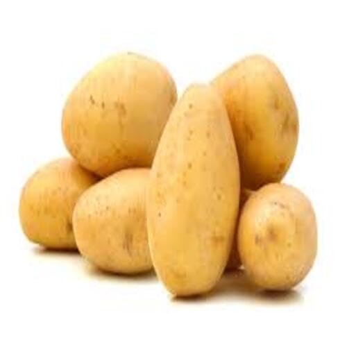 Potato Brown - Heirloom, Non - Gmo Seeds