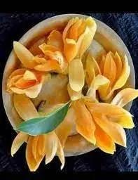 Champa Flower Seeds for Planting - NON GMO Seeds for planting in home garden