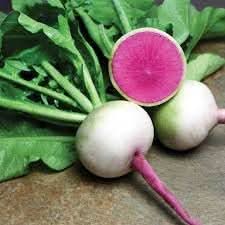 Radish Starburst vegetable Seed for Vibrant, Tasty Radishes