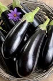 Eggplant Seeds for Planting, Black