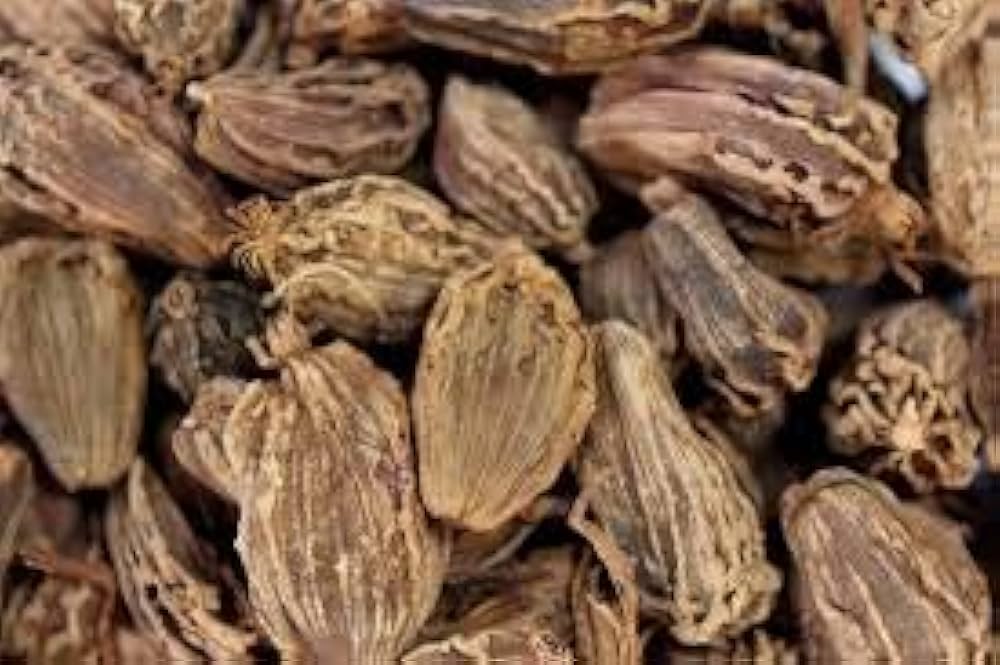 Black Cardamom Plant Seeds for Indoor or Outdoor Herb Gardens – Fresh Herb for Your Garden