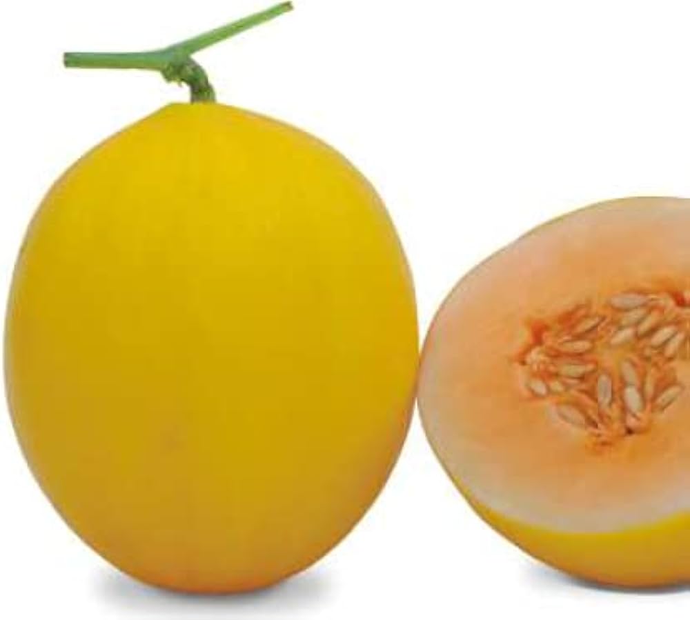 Yellow Honeydew Melon Seeds for Planting for Home Garden