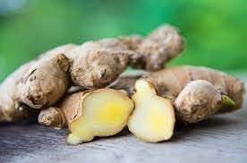Ginger Seeds for Planting