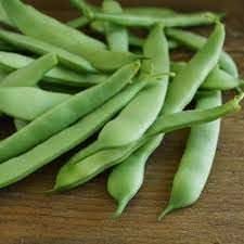 Bean Seeds for Gardening