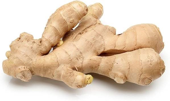 Ginger Zingiber officinale seeds for garden planting