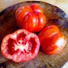 Striped Cavern Tomato Vegetable Seeds for Planting