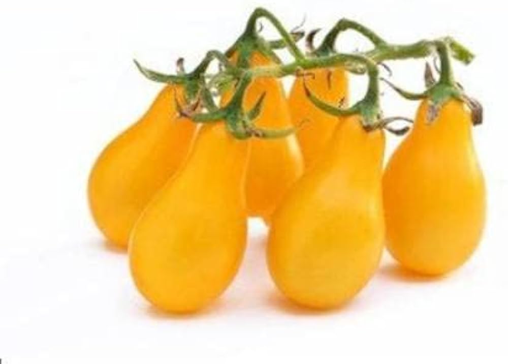 Yellow Pear Tomato Seeds – Organic Heirloom Mini Tomato for 2017