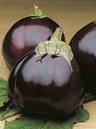 Eggplant Seeds for Planting, Dark Purple
