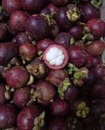 Mangosteen fruit seeds