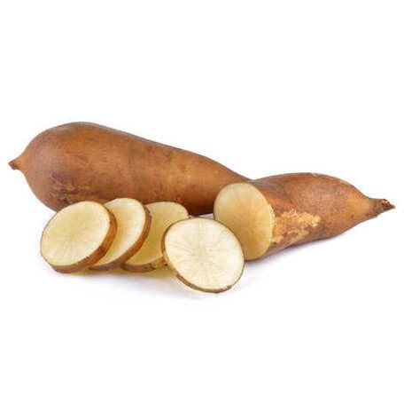 Brown Yacon - Heirloom, Non - Gmo Seeds