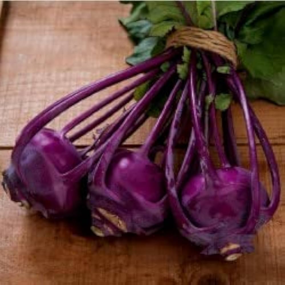 Kohlrabi Brassica Oleracea Purple Vienna Vegetable Seeds for Planting – Crisp Variety for Backyard and Kitchen Gardens
