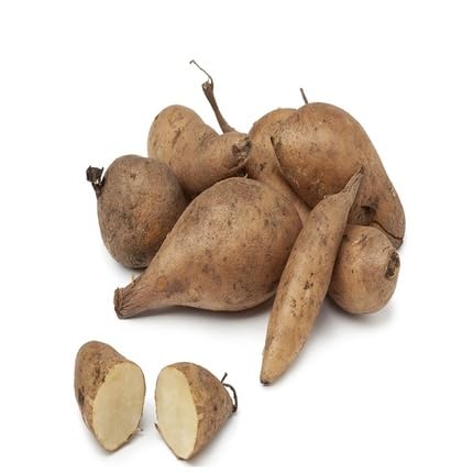 Yacon - Heirloom, Non - Gmo Seeds