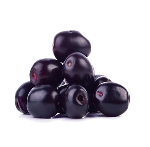Black Jamun Fruit - Heirloom, Non - Gmo Seeds