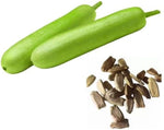 Bottle Gourd Lagenaria siceraria for planting in vegetable patch