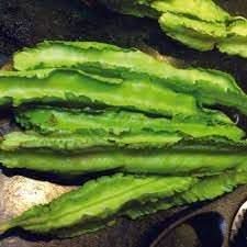 Winged Bean Seeds for Planting