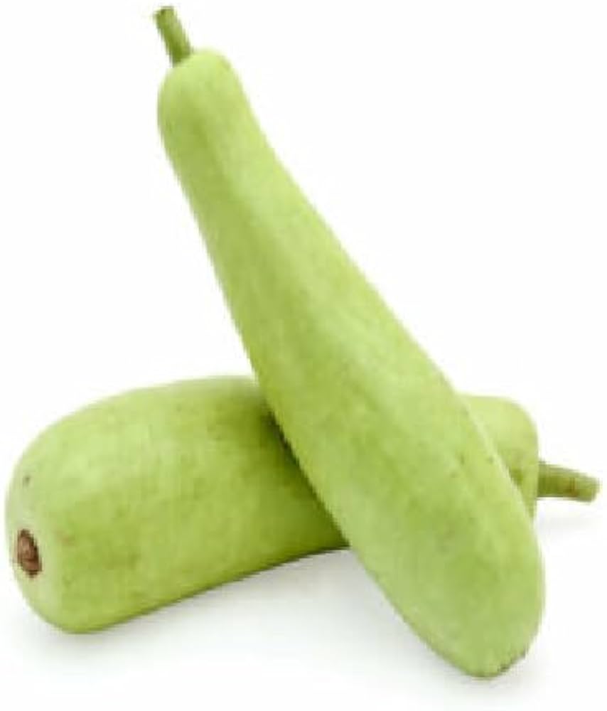 Bottle Gourd Lagenaria Siceraria Organic Vegetable Seeds for Planting – Great for Kitchen Garden and Container Growing