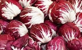 Radicchio Cichorium intybus seeds for garden planting