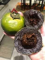 Digyna fruit seeds