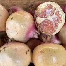 White pomegranate fruit seeds