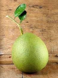 Melon Pinonet Fruit Seeds for Planting – Grow Tropical and Refreshing Fruits at your Home Garden