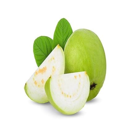 Guava Tree - Heirloom, Non - Gmo Seeds