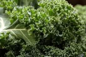 Kale Vegetable Seeds for Planting