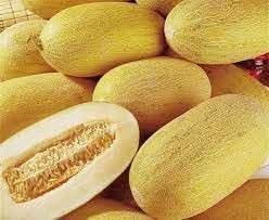 Hami Melon Fruit Seed Collection for Sweet Melons
