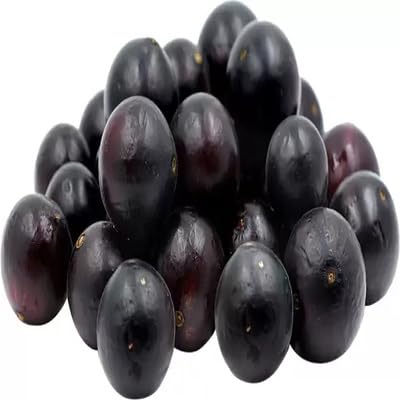 Jabuticaba Fruit - Heirloom, Non - Gmo Seeds