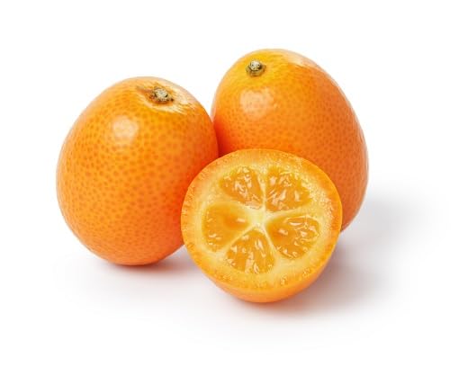 Orange Kumquat Fruit - Heirloom, Non - Gmo Seeds