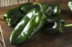 Poblano Vegetable Seeds for Planting heirloom & Non-GMO Seeds